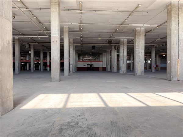 Roe Street Warehouse (12/8/2025 - Credits: Austin Flores)