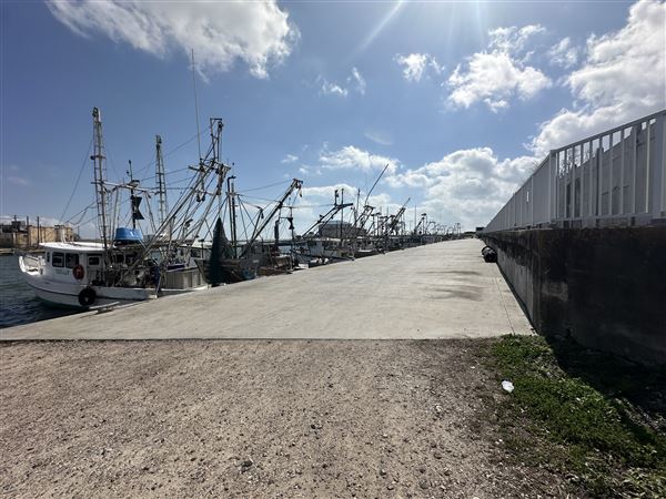 Port Lavaca City Harbor (3/1/2026 - Credits: Tania French)