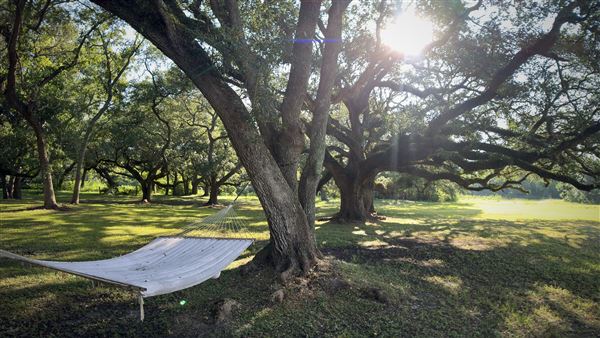 The Oaks of Anahuac (9/12/2025 - Credits: Houston Film Commission)
