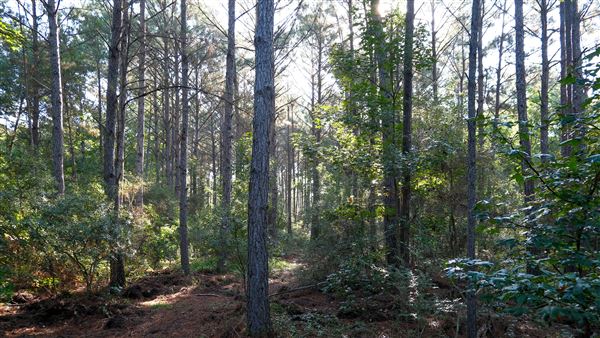 The Oaks of Anahuac (9/12/2025 - Credits: Houston Film Commission)