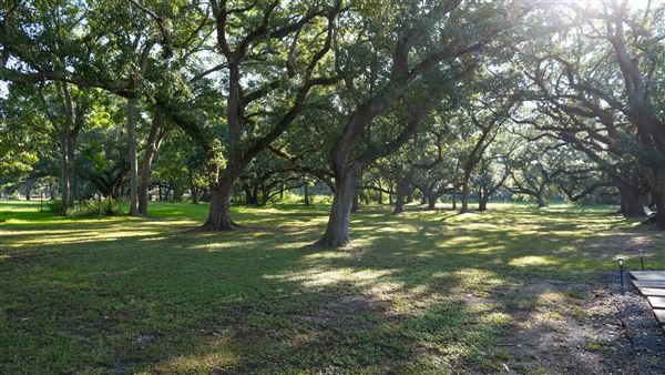 The Oaks of Anahuac (9/12/2025 - Credits: Houston Film Commission)