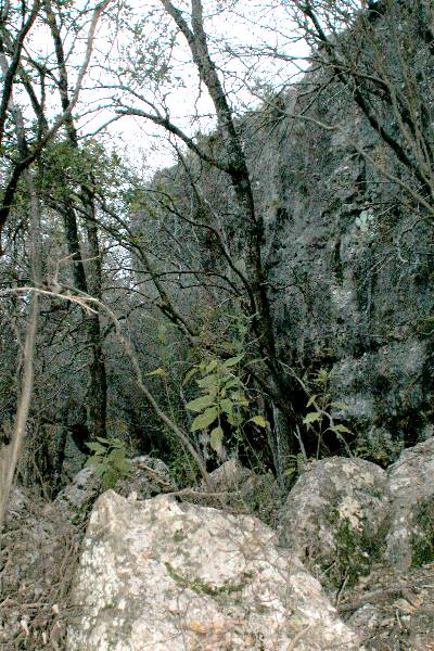 Milton Reimers Ranch County Park (11/29/2004)
