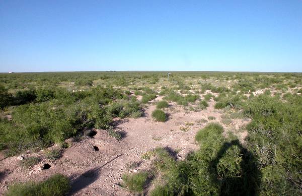 Terrain in Andrews County (5/3/2004)