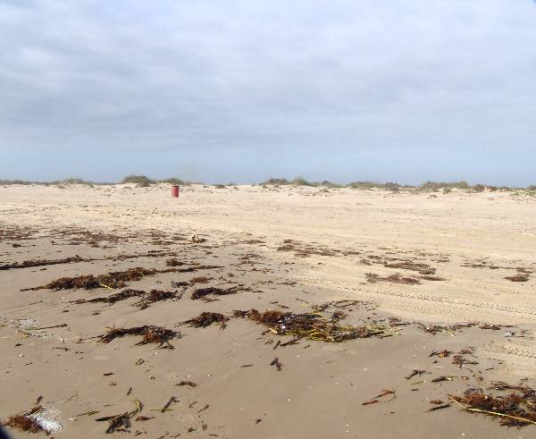 Boca Chica Beach & Dunes (3/2/2005)