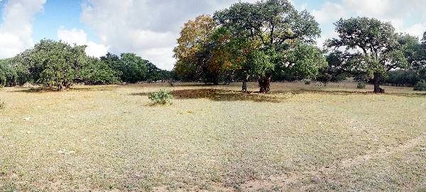 Storm Ranch (10/1/2001)