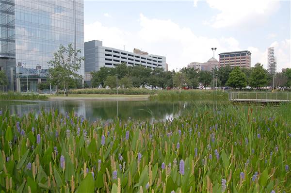 Discovery Green (5/21/2012)