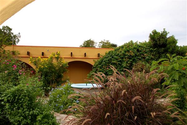 Fiesta Gardens (10/16/2012)