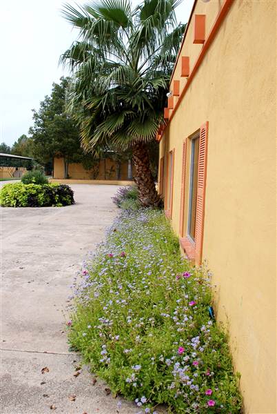 Fiesta Gardens (10/16/2012)
