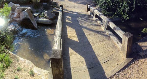 Japanese Garden in Hermann Park (3/7/2013)