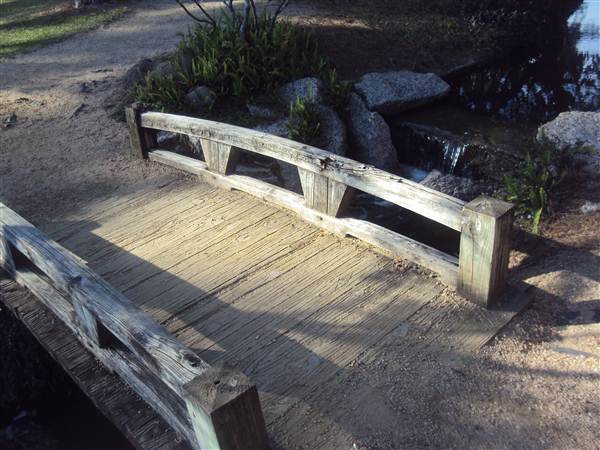 Japanese Garden in Hermann Park (3/7/2013)