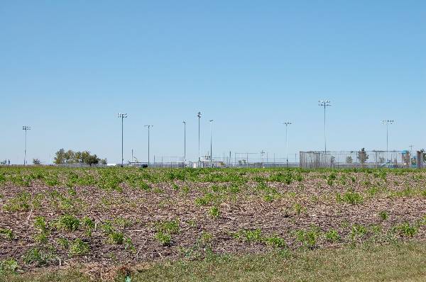 Bartlett Baseball Complex (10/19/2006)