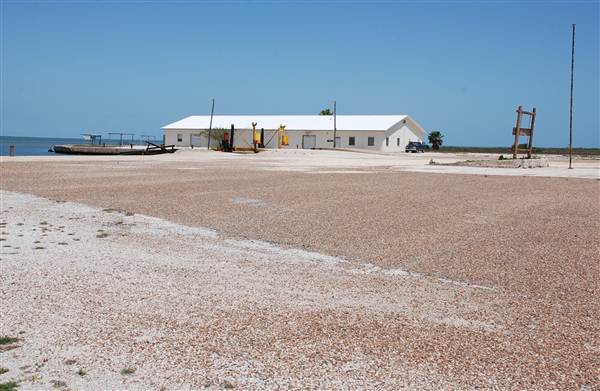 Matagorda Island (4/4/2013)