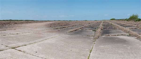 Matagorda Island (4/4/2013)
