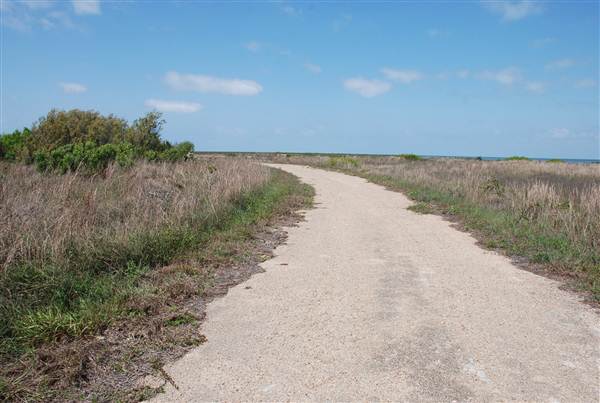 Matagorda Island (4/4/2013)