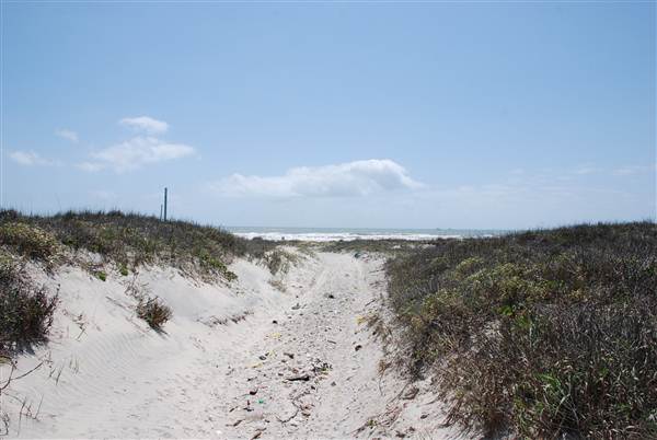 Matagorda Island (4/4/2013)