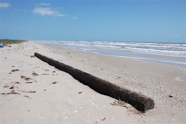 Matagorda Island (4/4/2013)