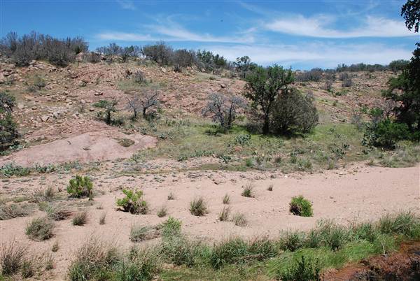 The Sandy Ranch (5/4/2013)