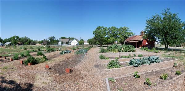 Peterson Community Garden (5/13/2013)