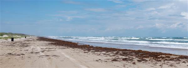 Boca Chica Beach & Dunes (9/25/2014)