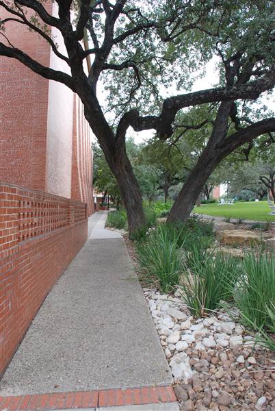 Trinity University (10/22/2014)