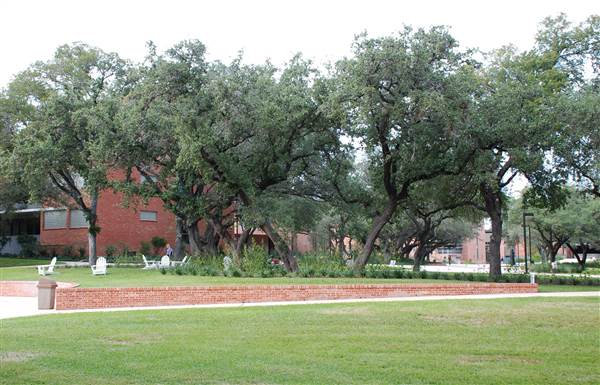 Trinity University (10/22/2014)