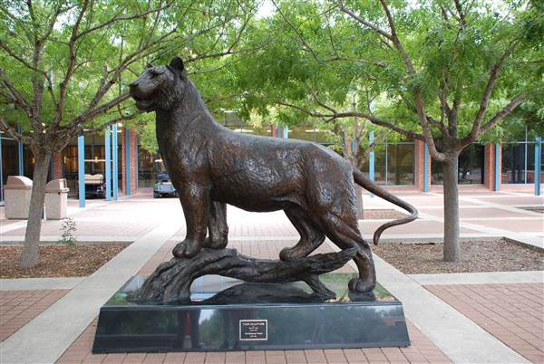 Trinity University (10/22/2014)