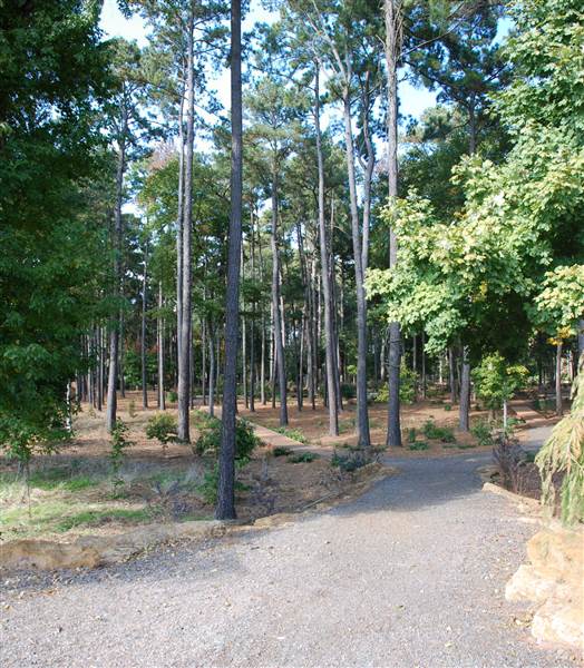 Gayla Mize Garden (11/11/2014)