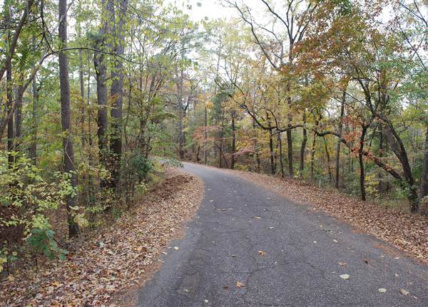 Davey Dogwood Park (11/13/2014)