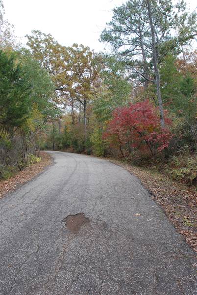 Davey Dogwood Park (11/13/2014)
