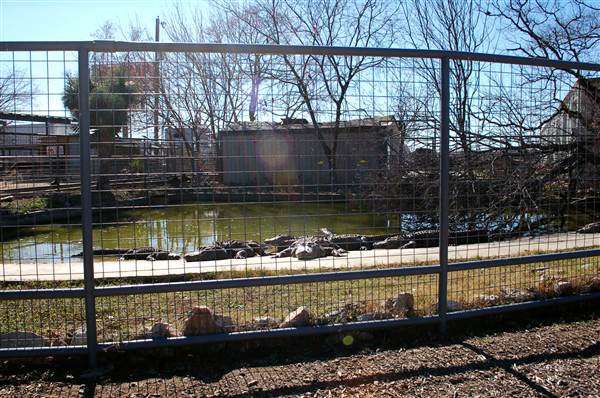 Animal World and Snake Farm (1/19/2015)