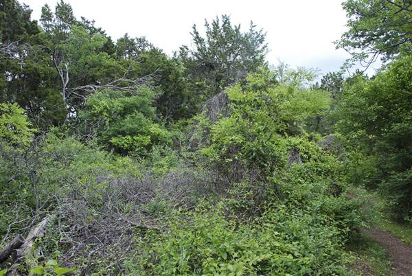 Cedar Hill State Park (4/13/2015)