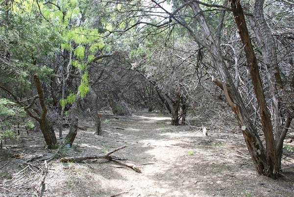 Cedar Hill State Park - Talala Trail (4/15/2015)