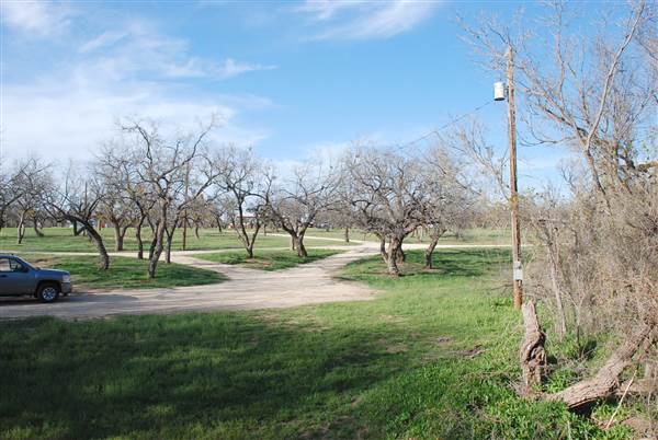 Lake Sweetwater Municipal Park (3/25/2015)