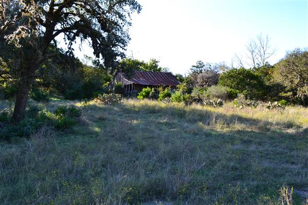 Madrone Ranch (11/12/2015)