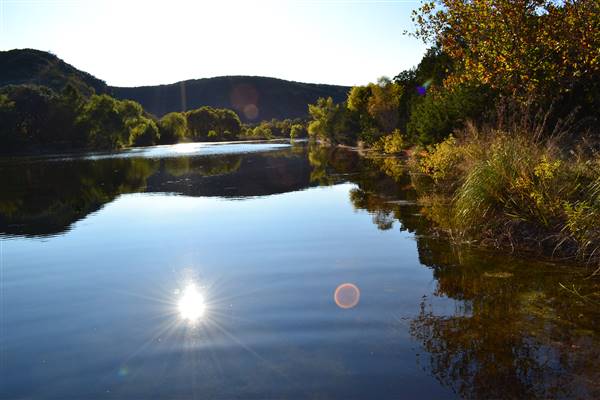 Madrone Ranch (11/12/2015)
