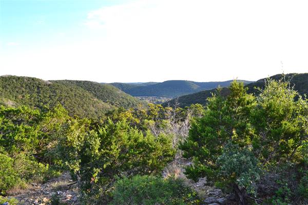 Madrone Ranch (11/12/2015)