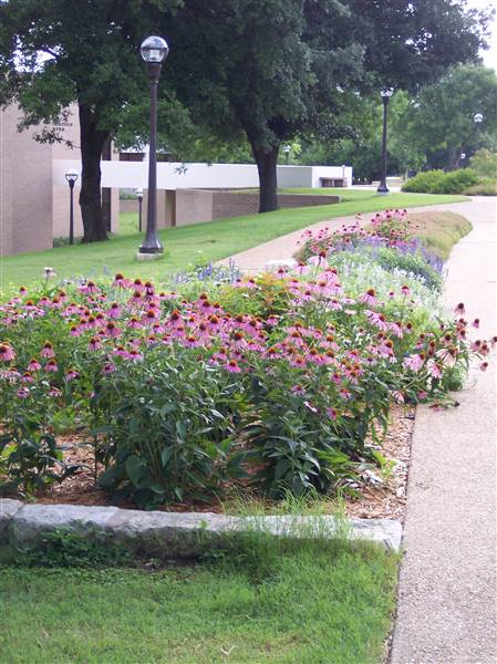 McLennan Community College (1/12/2016)