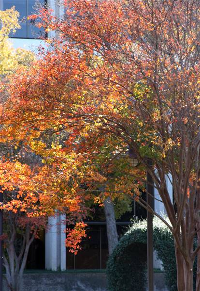 McLennan Community College (1/12/2016)