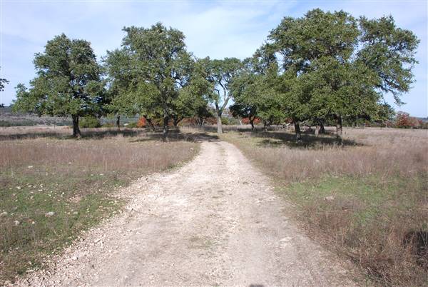 Longhorn River Ranch (12/9/2015)