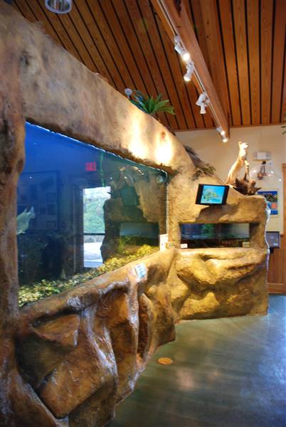McKinney Roughs Nature Park (11/5/2015)