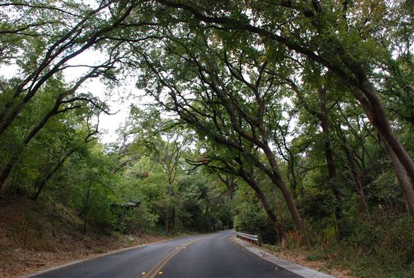 Cameron Park (10/21/2015)