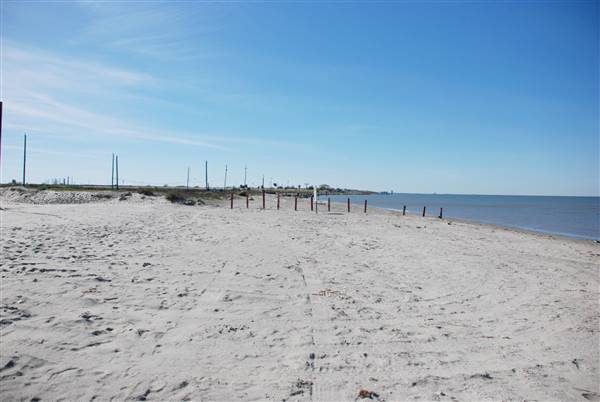 East Beach (2/16/2016)