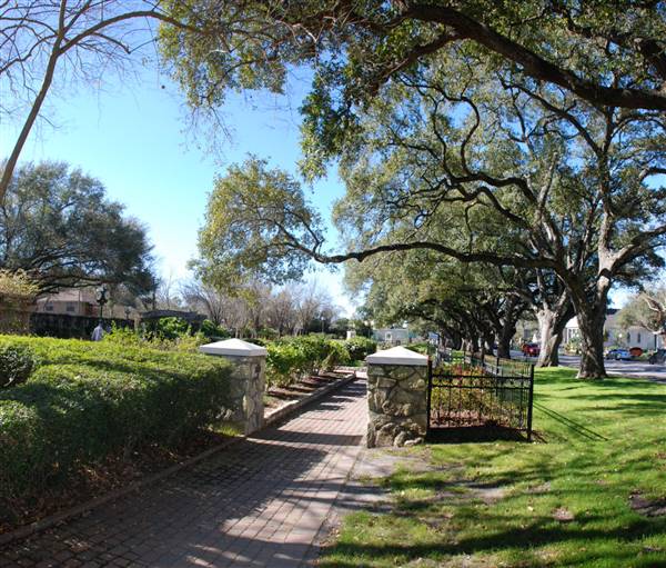 Helen's Garden (2/18/2016)