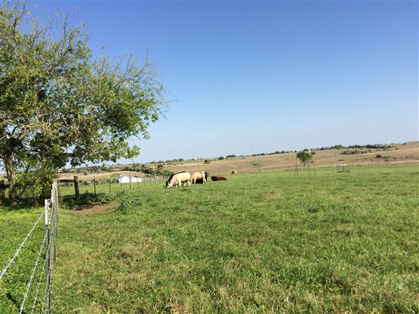 Maeshill Farm (4/18/2016)