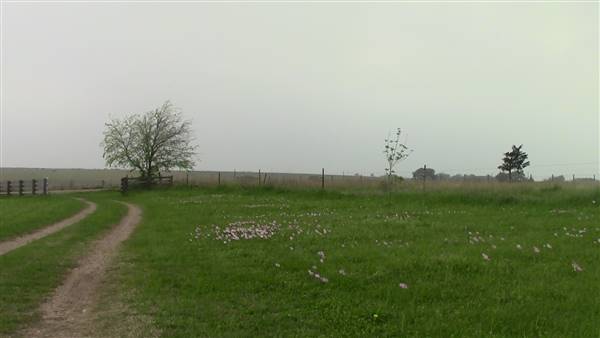 Maeshill Farm (4/18/2016)