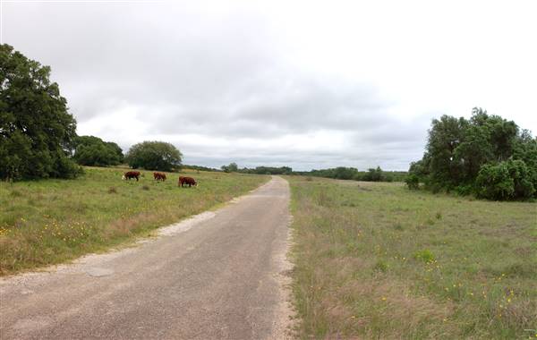 Storm Ranch (5/10/2016)