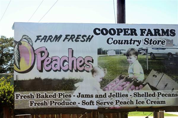 Cooper Farms (7/28/2016)