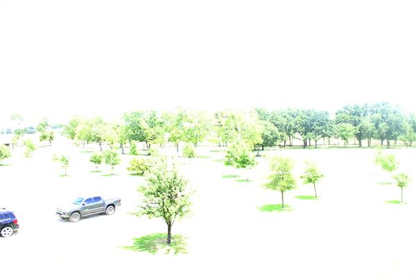 Cottonwood Terrace (7/28/2016)