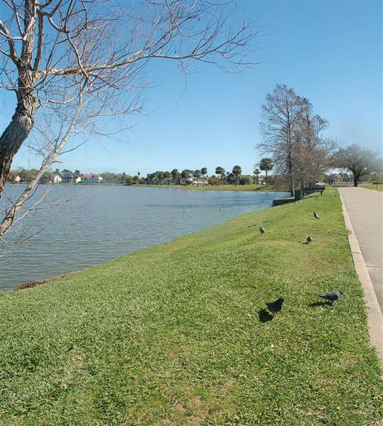 Nassau Bay City Park (12/15/2016)
