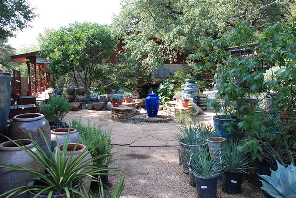 Hill Country Water Gardens & Nursery (8/11/2017)